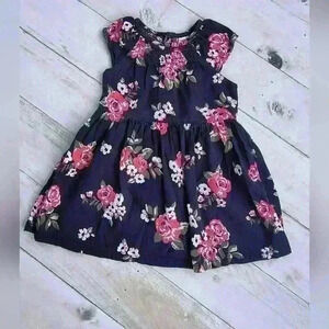 Carter's Baby Girl Floral Sleeveless Smocked Dress Blue Pink Size 18 M